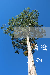 工商逾期去辦儲(chǔ)蓄卡會(huì)扣錢嗎，工商逾期后辦理儲(chǔ)蓄卡會(huì)被扣款嗎？